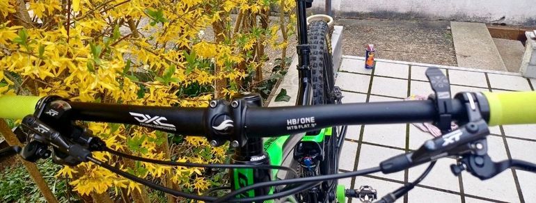 Used Giant Advanced 1.5 2019 Mountainbike, Green, 29 — image 3 of 11