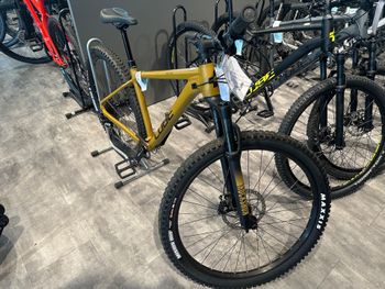 Used CUBE REACTION TM 2023 2023 VTT