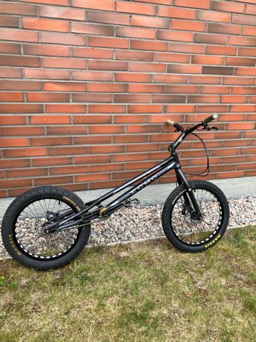 Echo bike Custom Other 2018 Mountainbike d'occasion — image 3 sur 5
