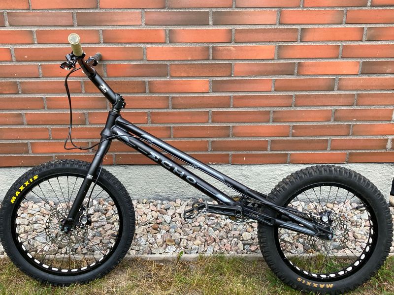 Used Echo bike Custom Other 2018 MTB