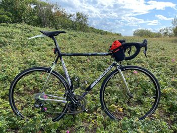 Used Colnago Master X Light 2000 Road & Gravel, Schwarz — image 12 of 12
