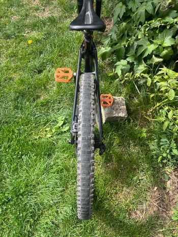 Used Canyon Strive CF 8.0 2019 2019 Mountainbike, Black, 29 — image 3 of 9