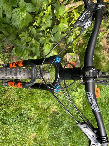 Used Canyon Strive CF 8.0 2019 2019 Mountainbike, Black, 29 — image 4 of 9