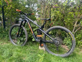 Used Canyon Strive CF 8.0 2019 2019 Mountainbike, Black, 29 — image 2 of 9