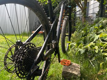 Used Canyon Strive CF 8.0 2019 2019 Mountainbike, Black, 29 — image 5 of 9