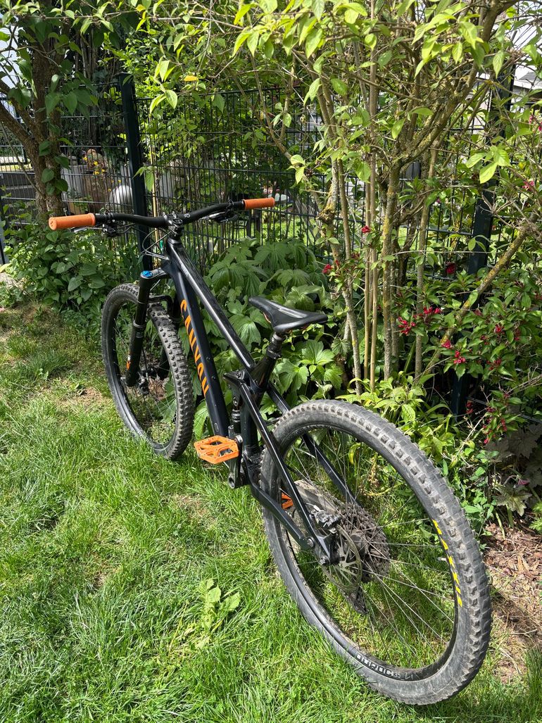 Used Canyon Strive CF 8.0 2019 2019 Mountainbike, Black, 29 — image 7 of 9