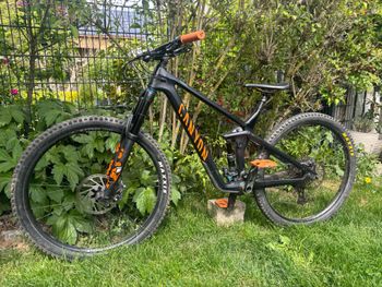 Used Canyon Strive CF 8.0 2019 2019 MTB