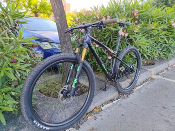 Used BH BH Lynx SLS 7.0 2026 Mountainbike, Negro — image 3 of 8