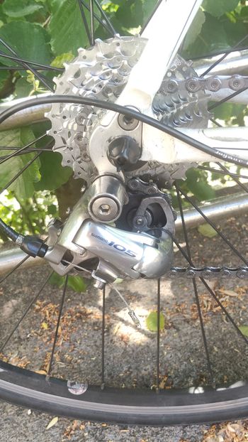 Used Scott Speedster S 30 2009 2009 Road & Gravel, Blanco — image 2 of 4