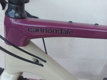 Used Cannondale Topstone Carbon 3 L 2023 2023 Road & Gravel — image 5 of 5