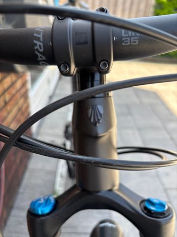 Used Trek Fuel EX 8 29 2019 2019 Mountainbike, Black, 29 — image 7 of 7