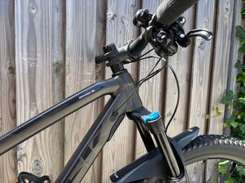 Used Trek Fuel EX 8 29 2019 2019 Mountainbike, Black, 29 — image 4 of 7