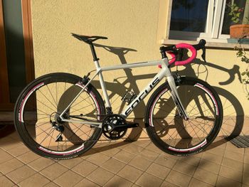 Used Focus IZALCO RACE 9.8 2019 2019 Corsa & gravel