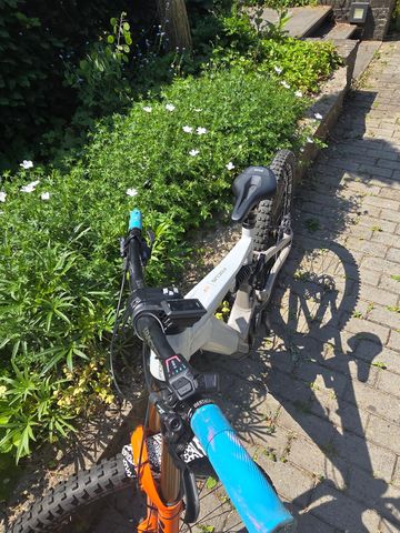 Used Focus SAM ² 6.9 2023 2023 Mountainbike, Light Gray, 29 — image 5 of 6