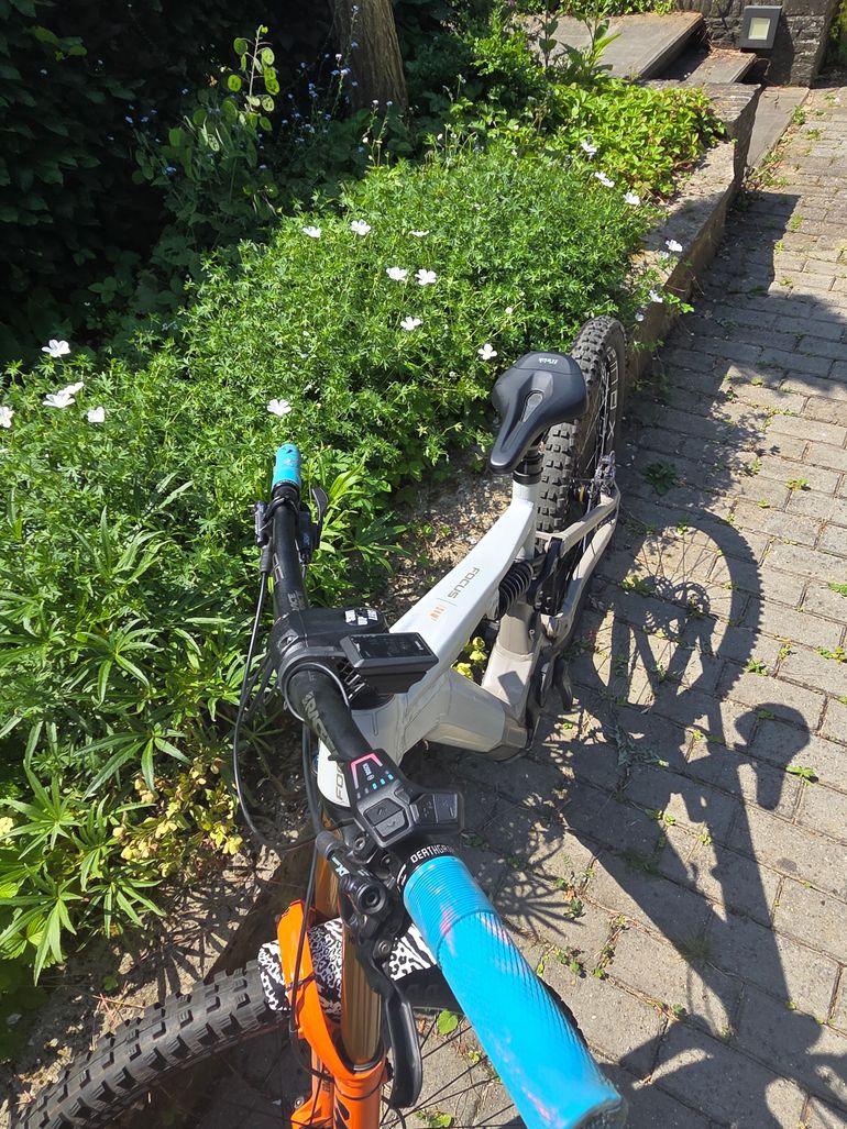 Used Focus SAM ² 6.9 2023 2023 Mountainbike, Grigio chiaro — image 5 of 6
