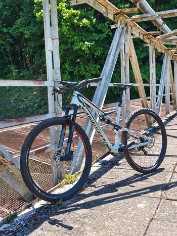 Used Specialized Camber Elite Carbon 29 2015 2015 MTB