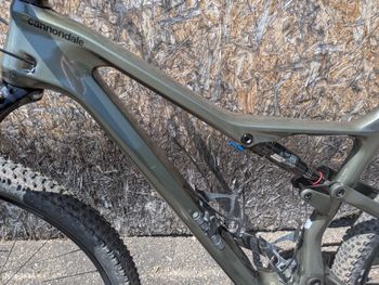 Used Cannondale Scalpel Carbon SE LTD Lefty 2021 2021 Mountainbike, Green, 29 — image 11 of 15