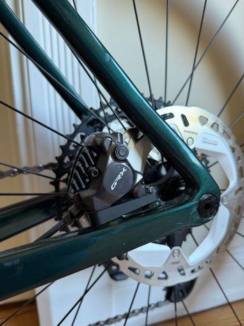 Used Colnago Colnago G3-X Gravelbike 2025 Road & Gravel, Green — image 21 of 29