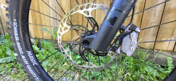 Used Mondraker CRAFTY RR 2025 2025 Mountainbike, Blue, 29 — image 4 of 4