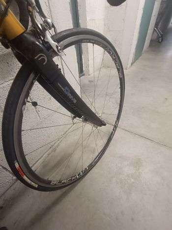 Used fimas Fimas Custom Shimano Ultegra 2008 Road & Gravel — image 5 of 10