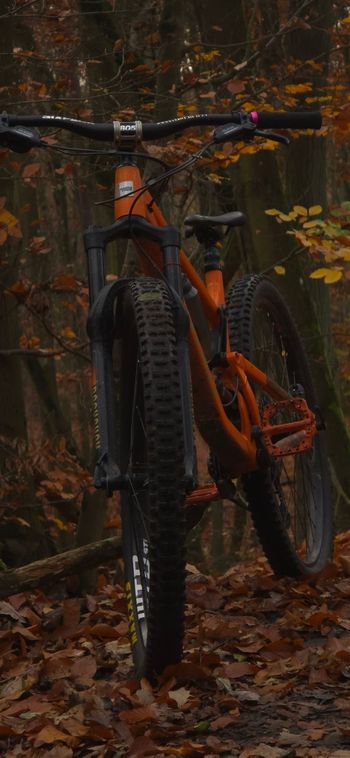 Used Santa Cruz HIGHTOWER D / Aluminum / 29 2022 2022 Mountainbike, Arancione — image 2 of 7