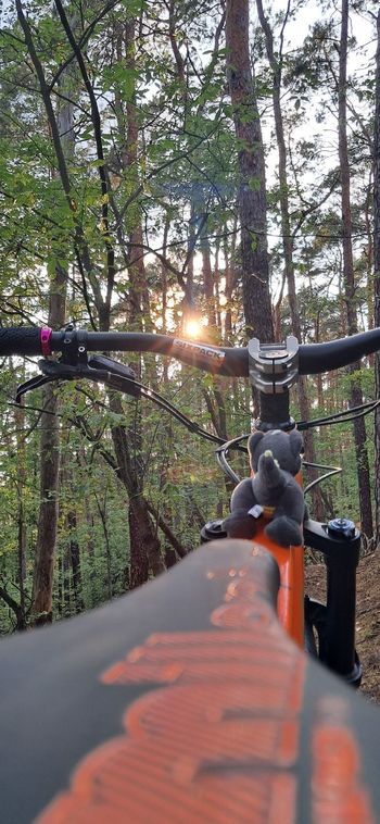 Used Santa Cruz HIGHTOWER D / Aluminum / 29 2022 2022 Mountainbike, Arancione — image 7 of 7