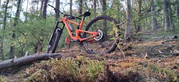 Used Santa Cruz HIGHTOWER D / Aluminum / 29 2022 2022 Mountainbike, Arancione — image 6 of 7