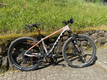 Used Scott 765 2019 MTB