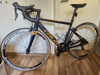 Used Coluer Coluer Radar 5.1 2025 2025 Road & Gravel, Blue — image 3 of 5