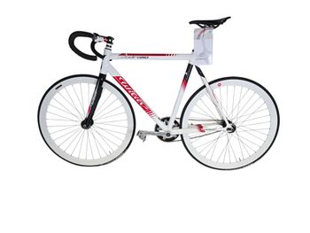 Used Wilier Velodromo 2013 Road & Gravel — image 2 of 24