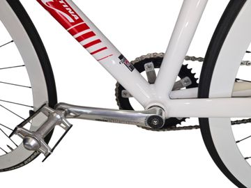 Wilier Velodromo 2013 Road & Gravel usato, Bianco — immagine 10 di 24