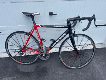 Used Cannondale Cannondale Custom Campagnolo Record 2007 Road & Gravel