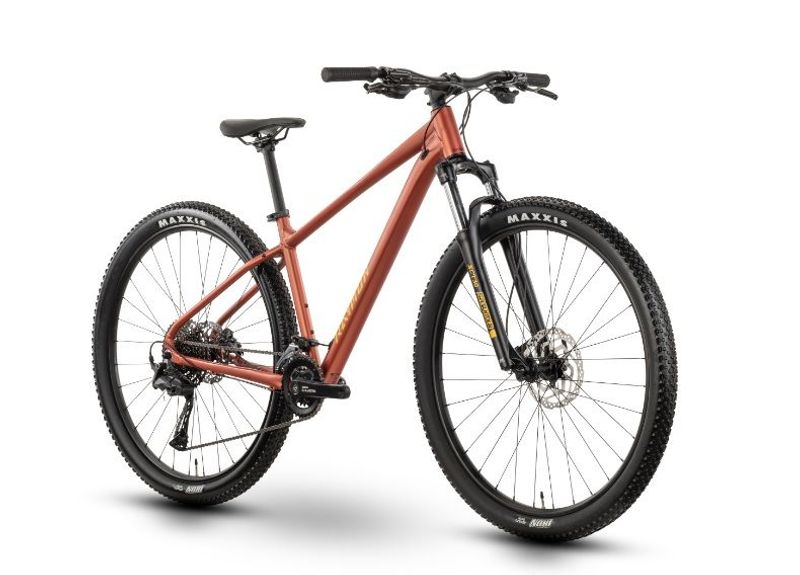 R RAYMON NAYTA PRO 2025 2025 Mountainbike d'occasion — image 3 sur 3