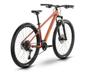 R RAYMON NAYTA PRO 2025 2025 Mountainbike d'occasion — image 2 sur 3