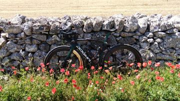 Used Pinarello DOGMA X DURA ACE Di2 2025 2025 Road & Gravel