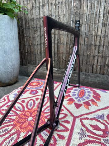 Used Specialized S-Works Tarmac SL8 Project Black LTD Frameset 2024 Frameset 2024 Road & Gravel, Negro — image 10 of 12