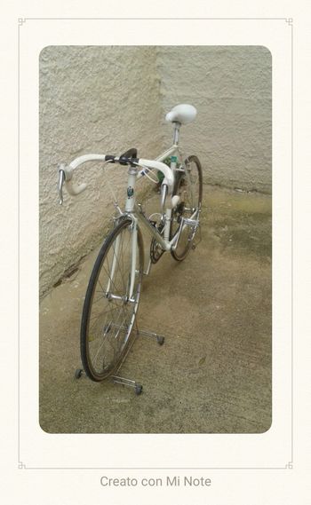 Used Bianchi L'eroica Campagnolo Record 1988 Road & Gravel, Weiß — image 3 of 6