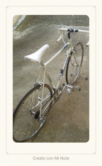Used Bianchi L'eroica Campagnolo Record 1988 Road & Gravel, Weiß — image 4 of 6