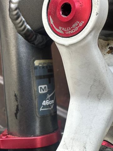 Used Lapierre Spicy 316 2010 Mountainbike, Light Gray — image 12 of 14