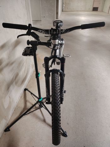 Used Rose THE BRUCE 2 2023 2023 Mountainbike, Grigio chiaro — image 3 of 18