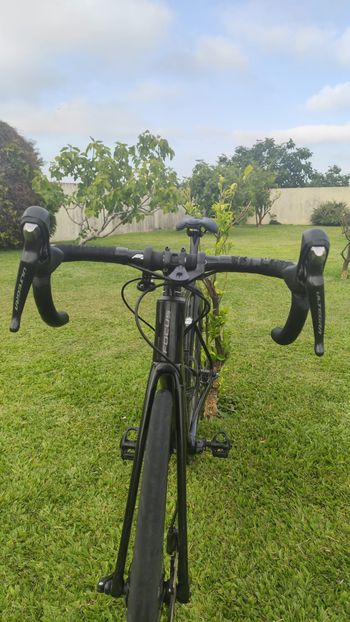 Used Focus IZALCO MAX DISC 8.8 2020 2020 Corsa & gravel