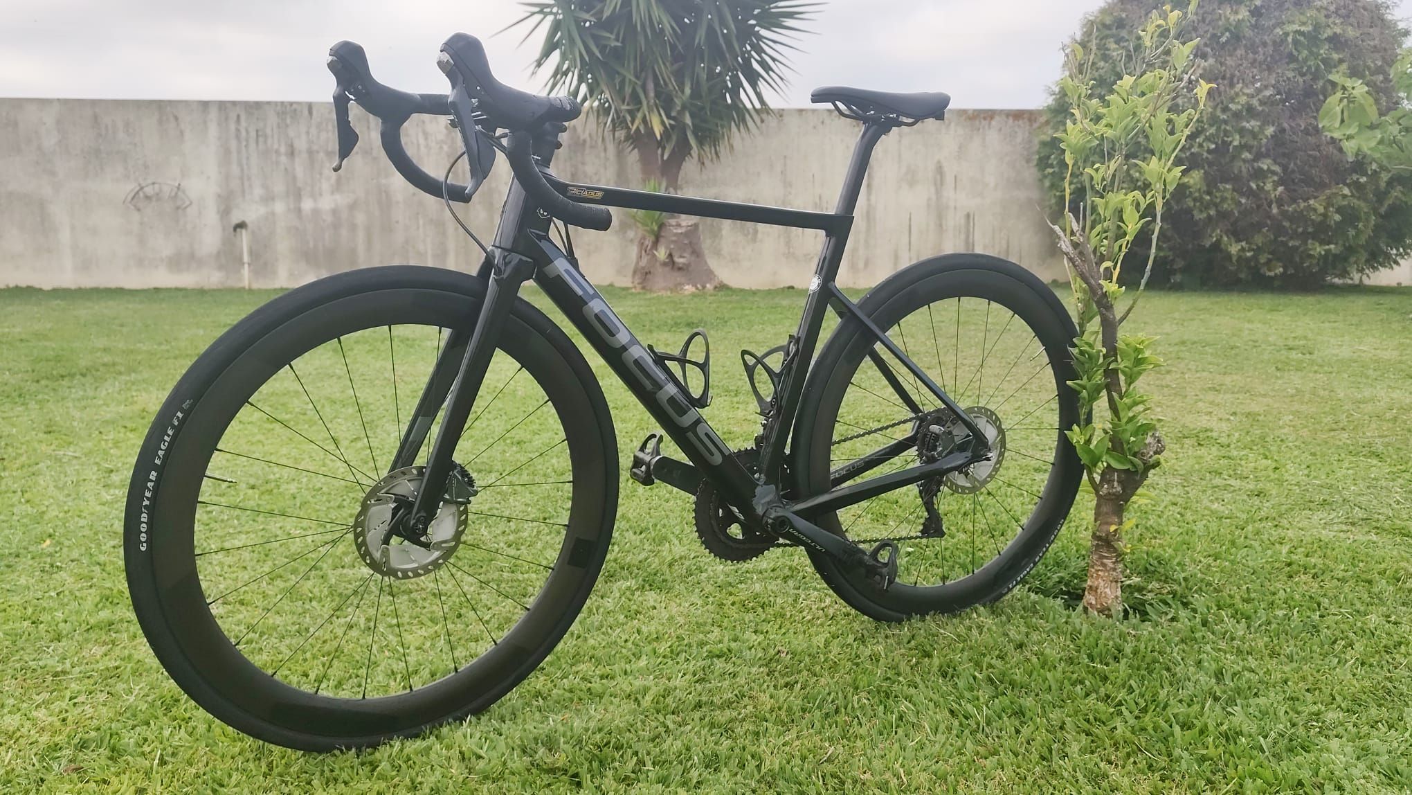 FOCUS IZALCO MAX DISC 8.8 2020年 Focus IZALCO MAX DISC 8.8 2020 2020