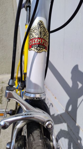 Used Olympia Evo Campagnolo Mirage 2003 Road & Gravel — image 5 of 7