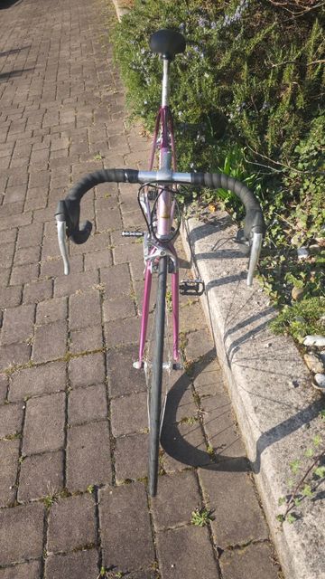 Used Legnano Custom Other Campagnolo 1994 Road & Gravel, Purple — image 2 of 13