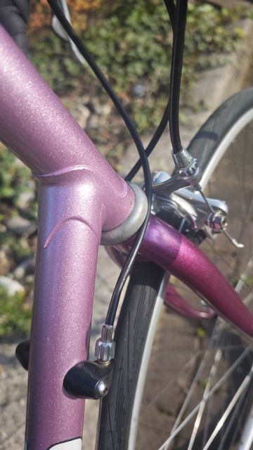 Used Legnano Custom Other Campagnolo 1994 Road & Gravel, Purple — image 13 of 13