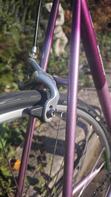 Used Legnano Custom Other Campagnolo 1994 Road & Gravel, Purple — image 10 of 13