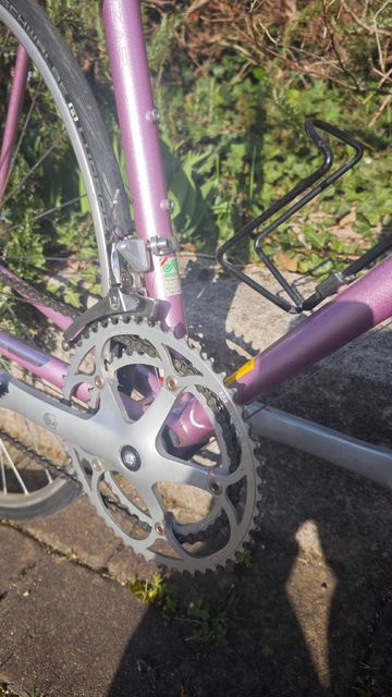 Used Legnano Custom Other Campagnolo 1994 Road & Gravel, Purple — image 5 of 13