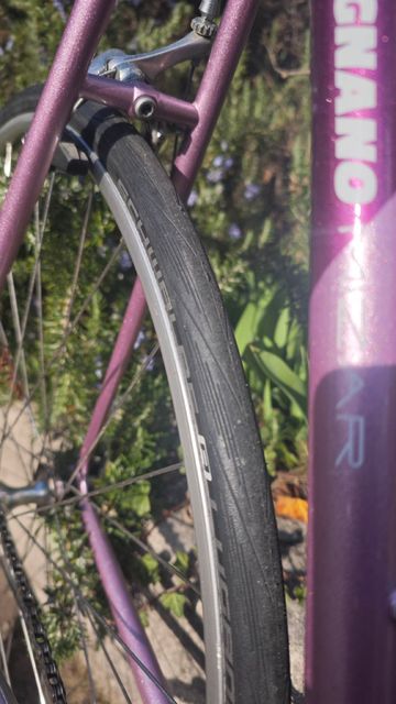 Used Legnano Custom Other Campagnolo 1994 Road & Gravel, Purple — image 9 of 13