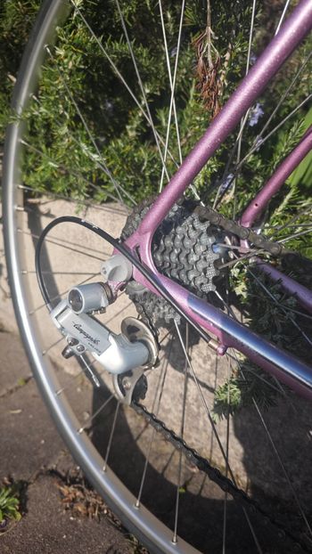 Used Legnano Legnano Custom Other Campagnolo 1994 Road & Gravel — image 4 of 13