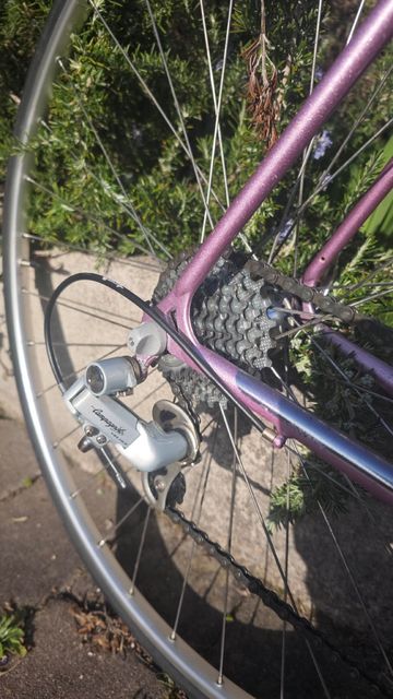 Used Legnano Custom Other Campagnolo 1994 Road & Gravel, Purple — image 4 of 13